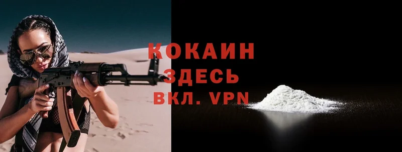 darknet как зайти  цена   Игра  Cocaine Колумбийский 